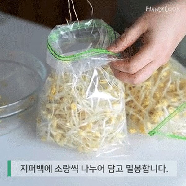 Bảo quản giá đỗ trong túi khóa kéo