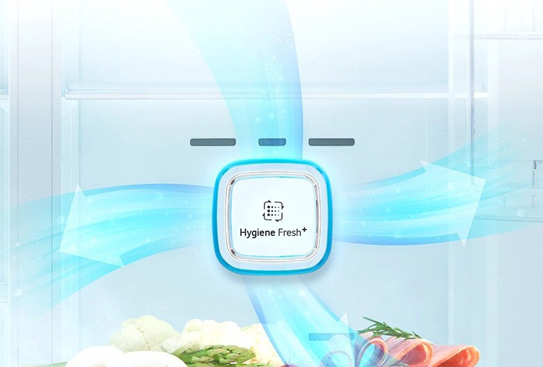 Bộ lọc Hygiene Fresh+ loại bỏ vi khuẩn và mùi hôi trong tủ lạnh LG GN-D602BLI
