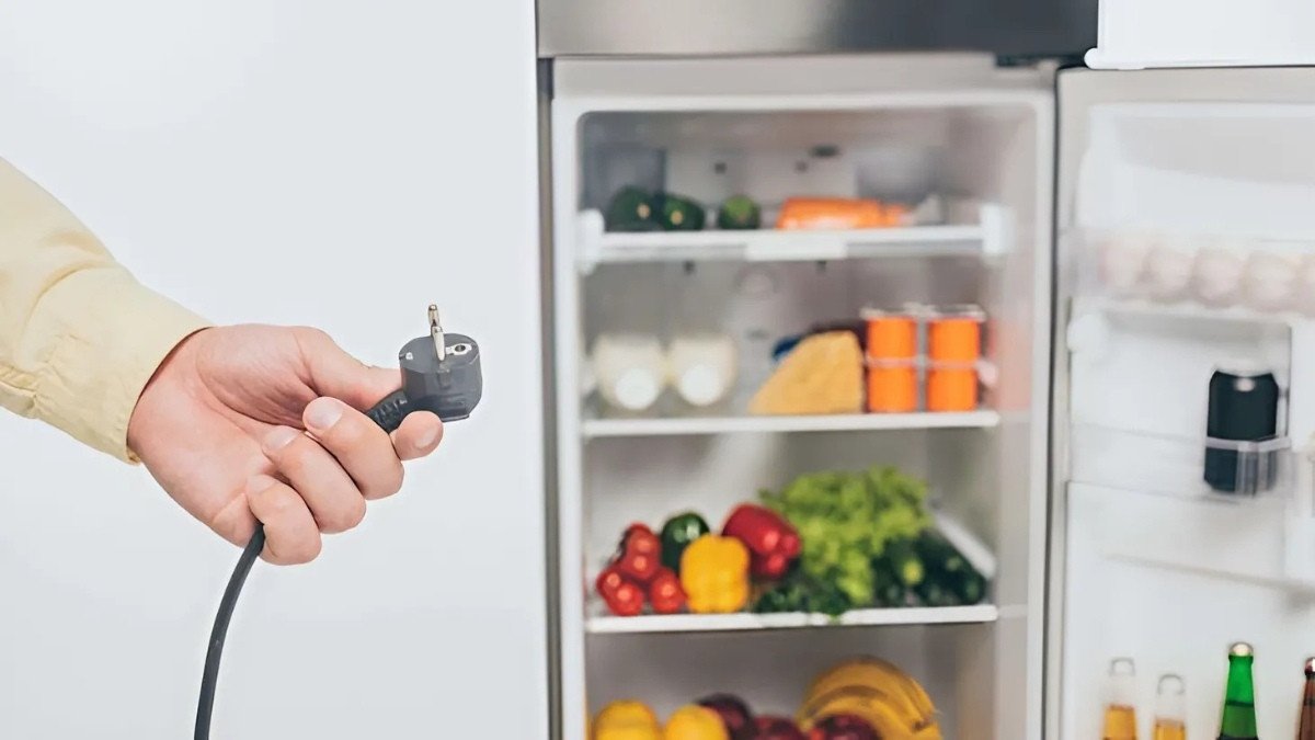 Cắm điện và sắp xếp thực phẩm vào tủ lạnh