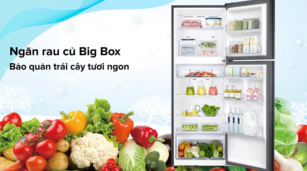 Cấu trúc ngăn lạnh và ngăn đá Tủ lạnh Samsung Inverter 302 Lít