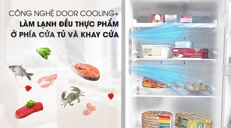 Đánh giá chi tiết Tủ lạnh LG GN-M315PS Inverter 315L