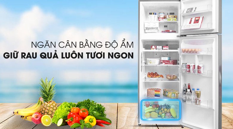 Đánh giá chi tiết Tủ lạnh LG GN-M315PS Inverter 315L