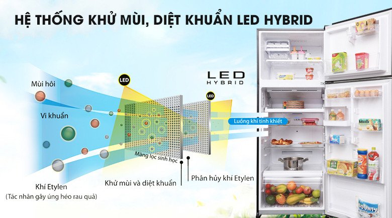 Công nghệ Hybrid Bio và tinh thể bạc Ag+ trong tủ lạnh Toshiba diệt khuẩn, khử mùi