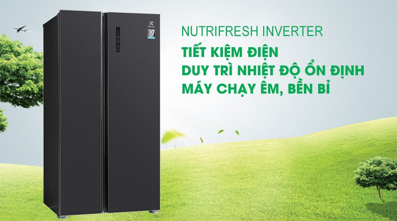 Công nghệ NutriFresh Inverter của tủ lạnh Electrolux ESE5401A-BVN giúp tiết kiệm điện