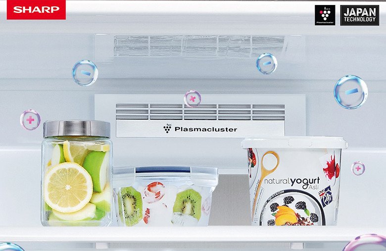 Công nghệ Plasmacluster Ion kháng khuẩn, làm sạch không khí tủ lạnh Sharp