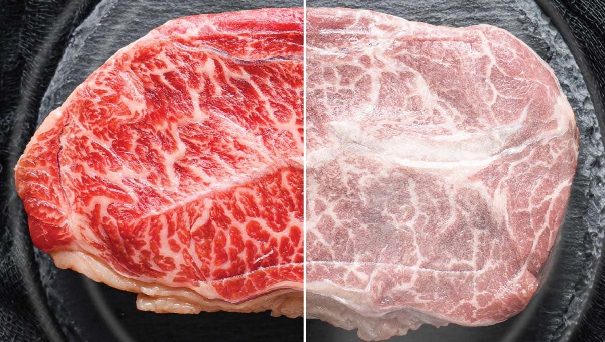 Công nghệ Total No Frost trên tủ lạnh Casper giúp loại bỏ đóng tuyết