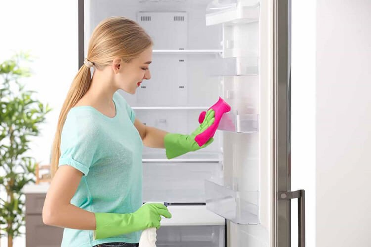 Dùng khăn sạch để lau khô hoàn toàn các giọt nước và mảng ẩm sau khi đã làm tan tuyết trong tủ lạnh Sharp