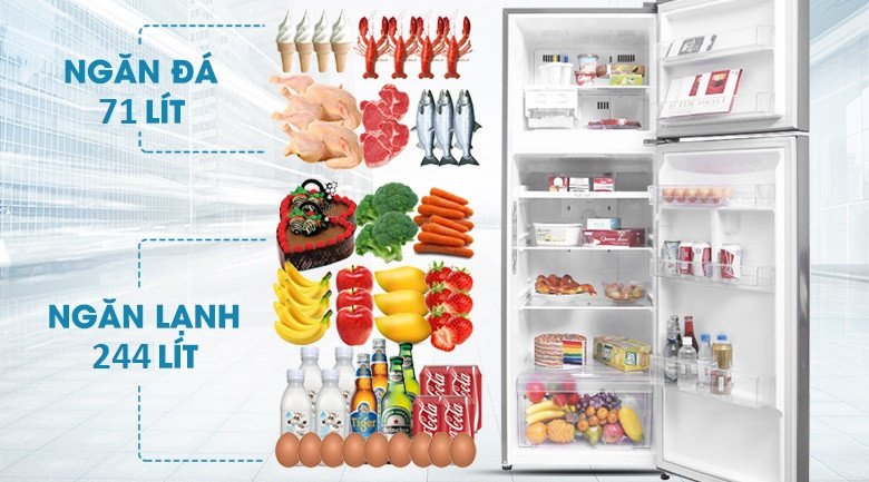 Dung tích 315 lít của tủ lạnh LG GN-M315BL phù hợp gia đình nhỏ