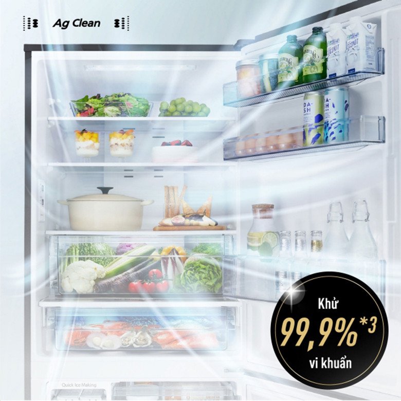 Hệ thống Ag Clean trên tủ lạnh Panasonic Inverter 380 lít NR-BX421WGKV bảo vệ thực phẩm khỏi vi khuẩn và mùi hôi.