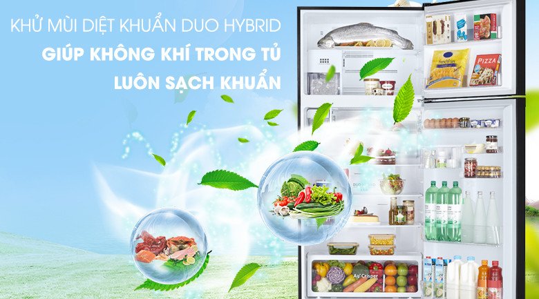 Hệ thống khử mùi diệt khuẩn Duo Hybrid của tủ lạnh Toshiba GR-AG66VA(XK)
