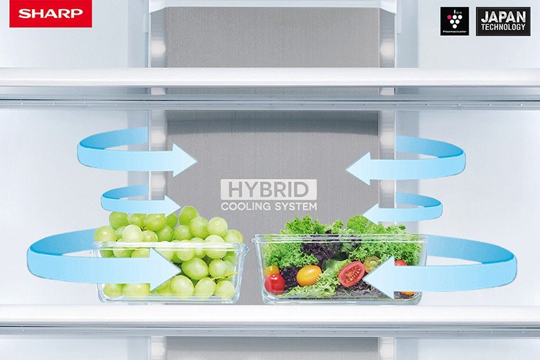 Hệ thống khử mùi hiệu quả của tủ lạnh Sharp 607 lít Multi Door SJ-FXPI689V-RS