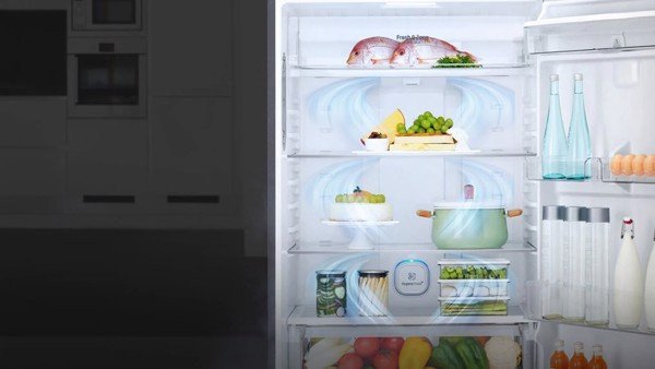 Hệ thống làm lạnh đa chiều phân bổ khí lạnh đồng đều trong tủ lạnh LG Inverter