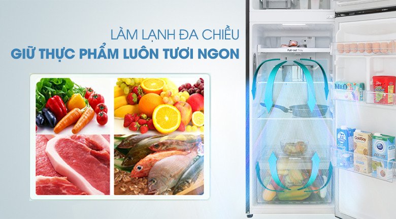 Hệ thống làm lạnh đa chiều trong tủ lạnh LG GN-M255BL