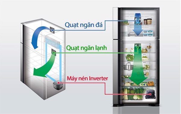 Hệ thống quạt kép độc lập của tủ lạnh Hitachi Inverter FG560PGV8 GBK làm lạnh hiệu quả