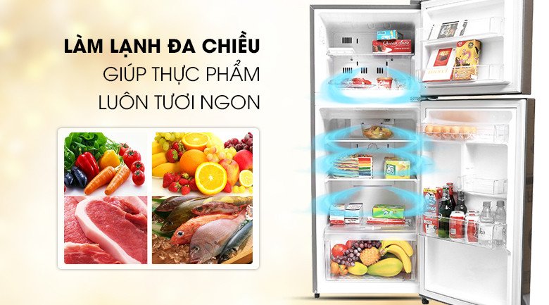 Hình ảnh minh họa hệ thống luồng khí lạnh đa chiều trong tủ lạnh LG GN-L205S