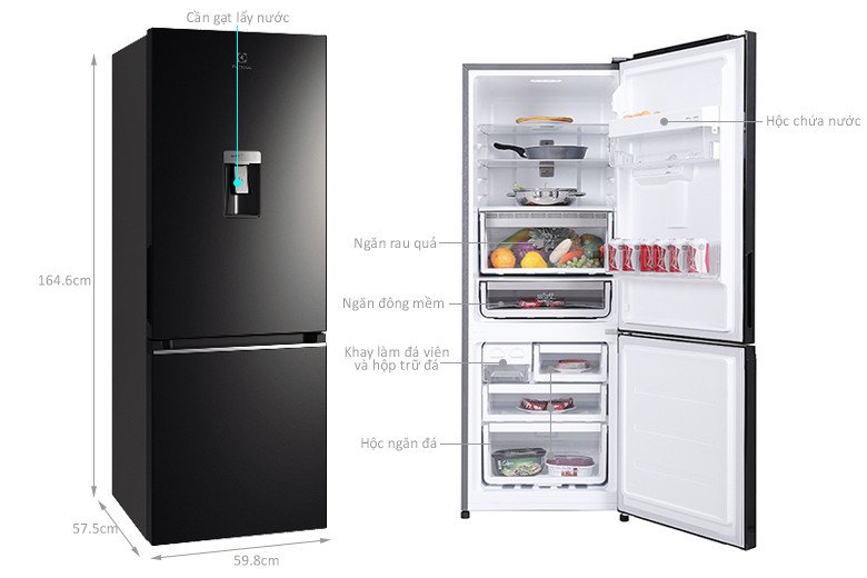 Kích thước chi tiết của mẫu tủ lạnh Electrolux EBB3442K-H Inverter dung tích 308 lít