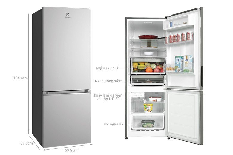 Kích thước chi tiết của tủ lạnh Electrolux EBB3402K-A với thiết kế ngăn đá dưới.
