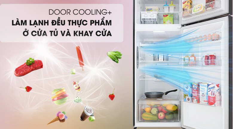 Luồng khí lạnh DoorCooling+ làm mát nhanh thực phẩm ở cửa tủ lạnh LG