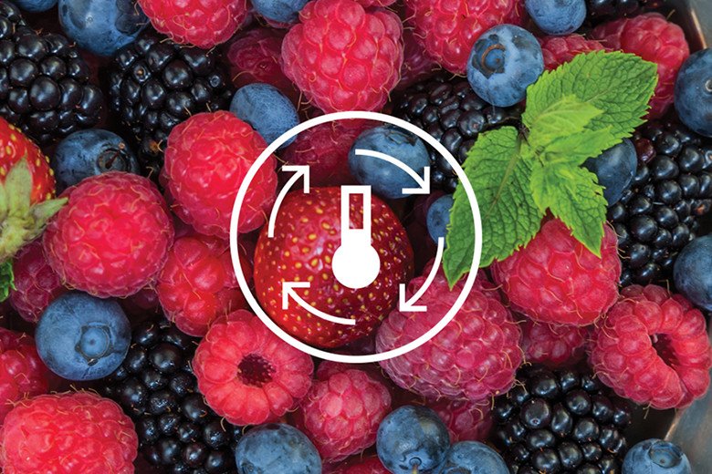 Minh họa công nghệ NutriFresh Inverter giúp tủ lạnh Electrolux ETB3760M-H tiết kiệm năng lượng
