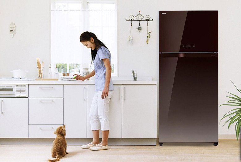 Nên mua tủ lạnh hiệu gì? Tủ lạnh Toshiba là một trong những hãng bạn nên tìm hiểu kỹ lưỡng về độ bền và công nghệ