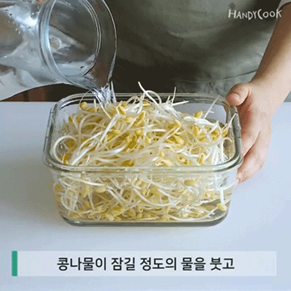 Ngâm giá đỗ trong nước để giữ tươi lâu