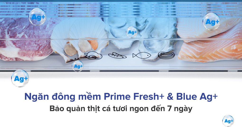 Ngăn đông mềm Prime Fresh+ và công nghệ Blue Ag+ kháng khuẩn của tủ lạnh Panasonic NR-BV281BGMV