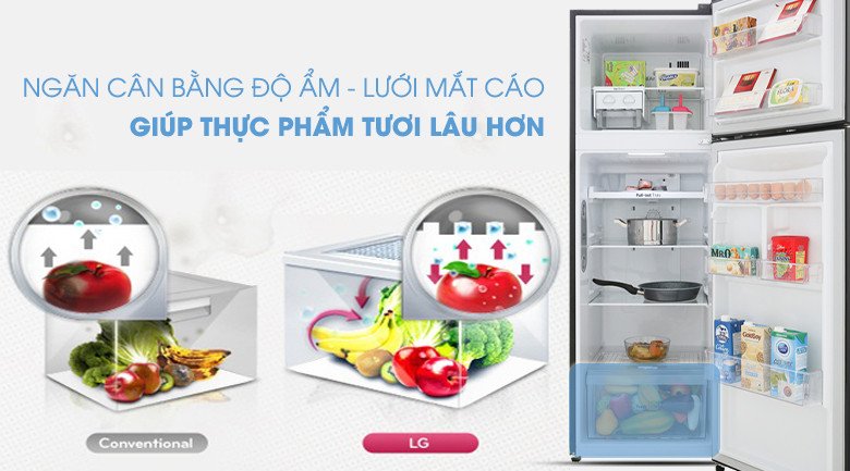 Ngăn rau củ quả Moist Balance Crisper của tủ lạnh LG Inverter 255 lít