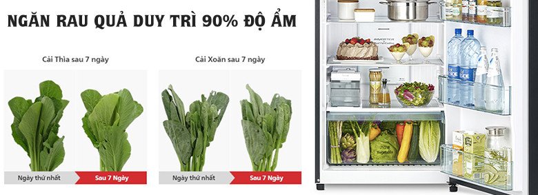 Ngăn rau quả giữ ẩm tối ưu trên Tủ lạnh Hitachi R-FVY510PGV0(GMG)