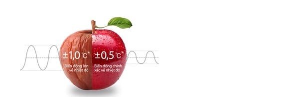 Nhiệt độ ổn định 24 giờ bên trong tủ lạnh LG GN-D332BL
