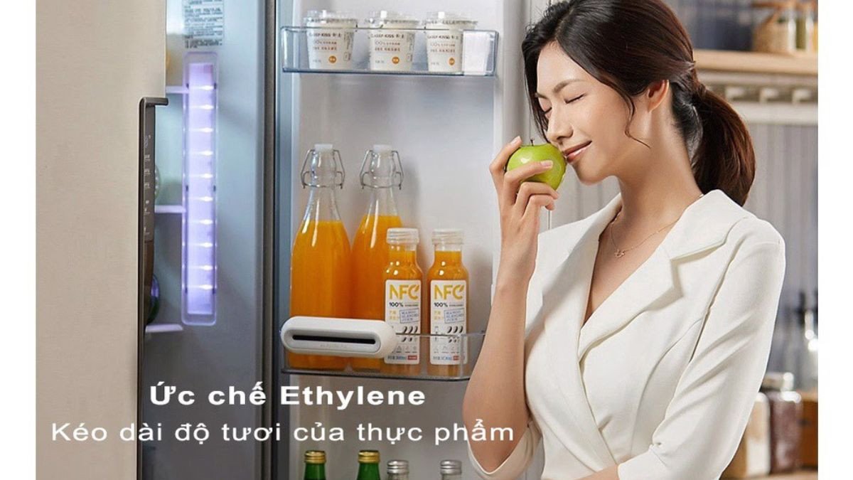 Nội thất tủ lạnh Xiaomi với các ngăn chứa được sắp xếp khoa học