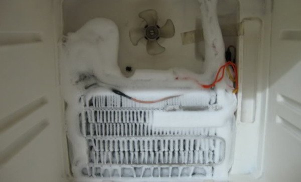 Quạt tủ lạnh bị kẹt do dị vật bên trong
