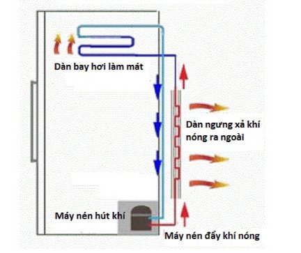 Sơ đồ minh họa các vị trí phổ biến của dàn nóng trên tủ lạnh, bao gồm phía sau và hai bên thành tủ