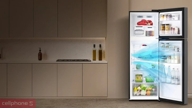 Thiết kế nội thất rộng rãi của tủ lạnh LG Inverter LTB46BLG 461 lít với các ngăn chứa đa dạng