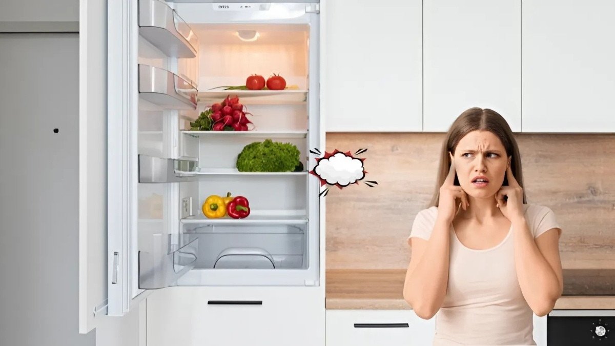 Tiếng ồn lạ do băng tuyết cản trở hoạt động tủ lạnh