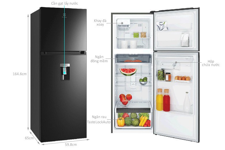Tổng quan kích thước tủ lạnh Electrolux ETB3440M-H