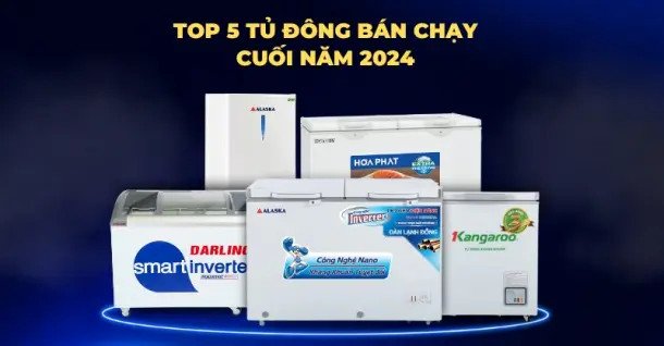 Tủ đông bảo quản thực phẩm đông lạnh số lượng lớn