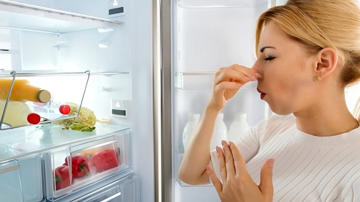 Tủ lạnh có mùi hôi do đóng băng lâu ngày