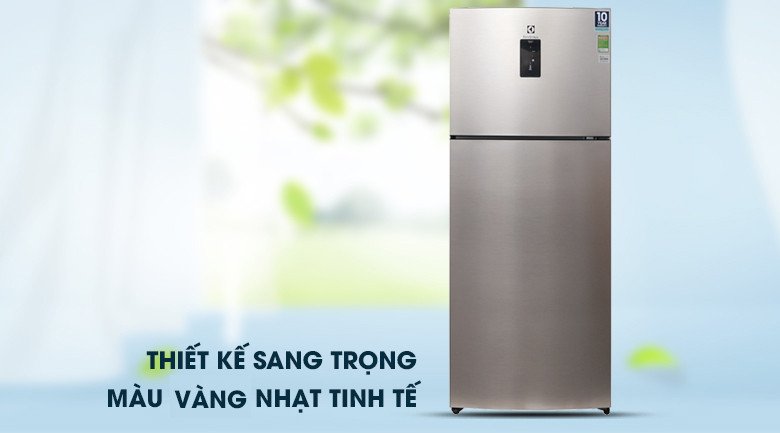 Tủ lạnh Electrolux đang được dùng phổ biến trên thị trường Việt Nam nhờ thiết kế sang trọng và công nghệ tiên tiến