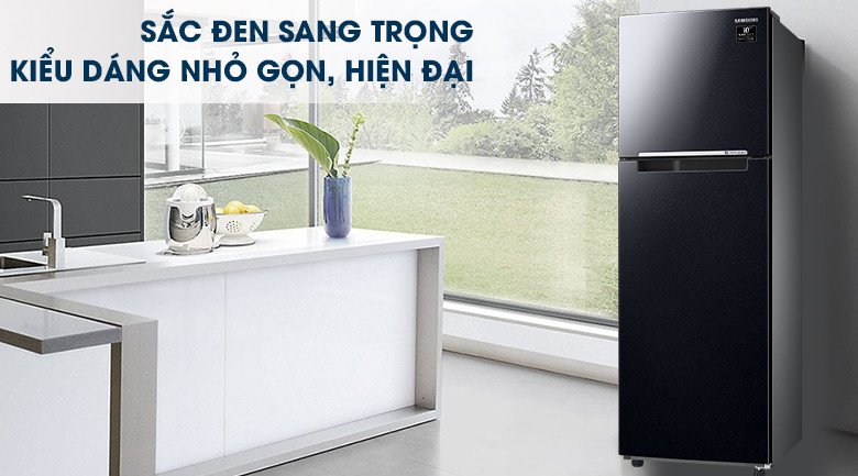 Tủ lạnh Samsung RT25M4032BU/SV thiết kế phẳng, gam màu đen mạnh mẽ