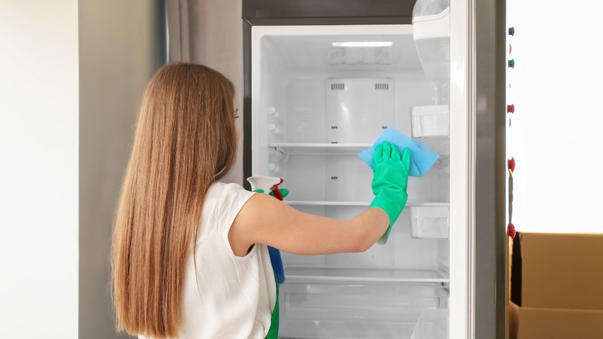 Vệ sinh sạch sẽ bên trong tủ lạnh sau khi tuyết đã tan hoàn toàn