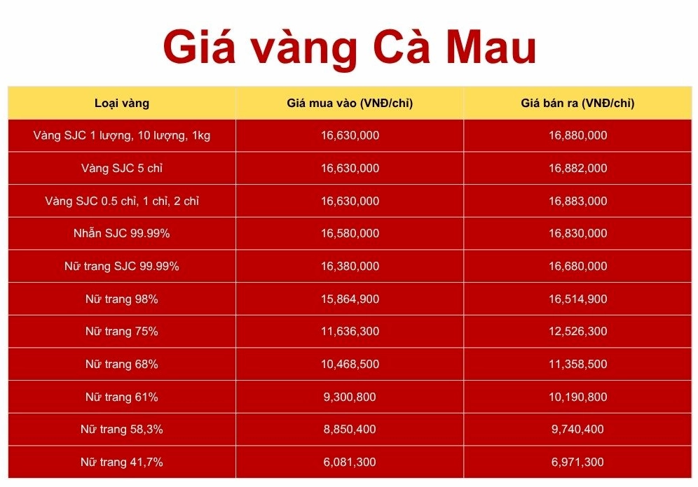 Giá Vàng Hôm Nay Hội Kim Hoàn Cà Mau 2026: Phân Tích Chuyên Sâu Bảng giá vàng tham khảo tại Cà Mau