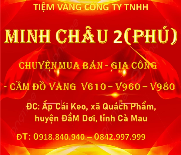 Giá Vàng Cà Mau 2026: Dự Báo, Phân Tích và Xu Hướng Mới Nhất Biểu đồ biến động giá vàng