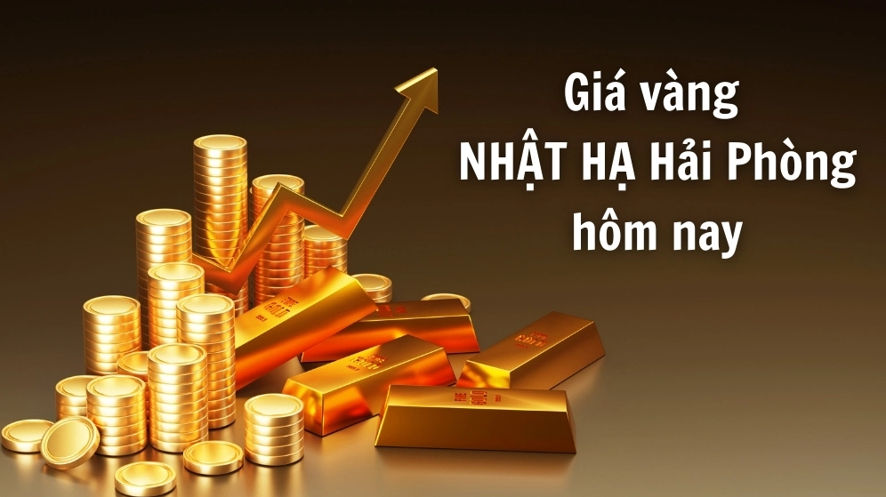 Biểu đồ giá vàng Nhật Hạ Hải Phòng hôm nay
