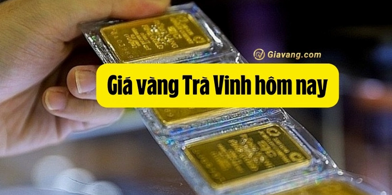 Giá Vàng Trà Vinh Hôm Nay 2026: Cập Nhật Chi Tiết & Dự Báo Cửa hàng vàng tại Trà Vinh