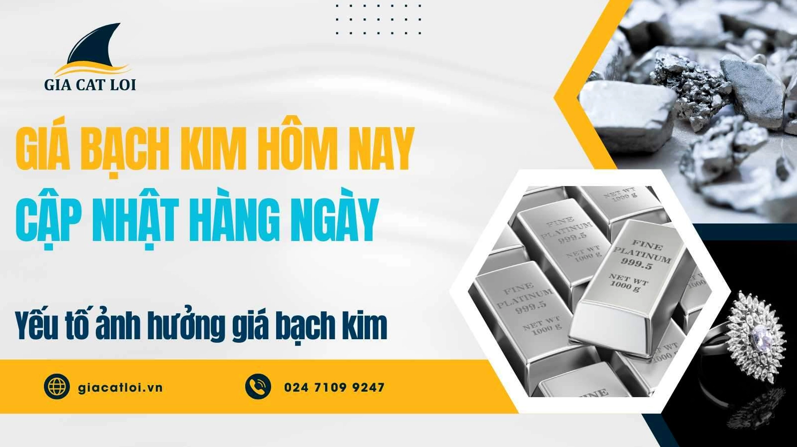 Giá Bạch Kim Hôm Nay Bao Nhiêu 1 Gam Cập Nhật 2026 Giá bạch kim hôm nay trên thị trường