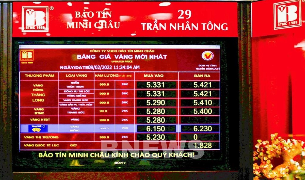 gia-bao-tin-minh-chau-2026-cap-nhat-moi-nhat-phan-tich_197