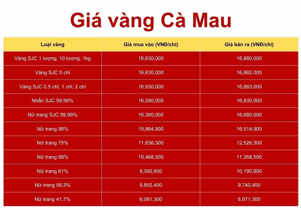 gia-vang-ca-mau-2026-du-bao-phan-tich-va-xu-huong-moi-nhat_174